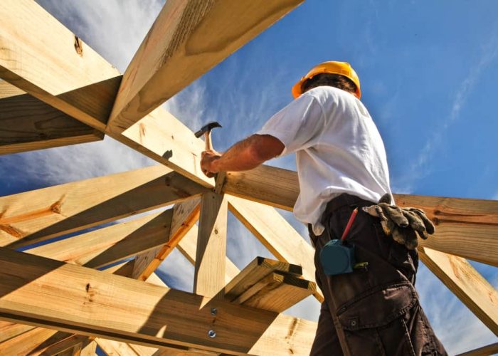 Carpenter-on-Roof Carpenter-on-Roof